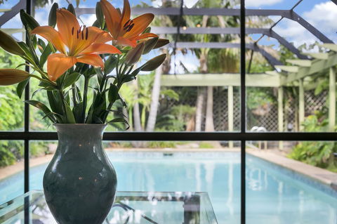 The Palms - Accommodation Daintree 13