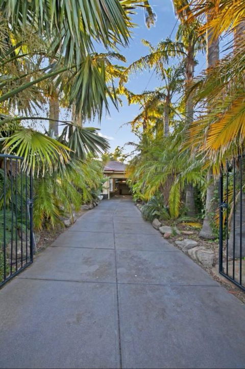 The Palms - Accommodation Daintree 6
