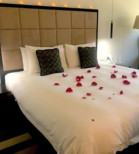 Ellen Hotel - Accommodation Daintree 5