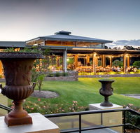 Harrigan's Irish Pub  Accommodation - Accommodation Daintree