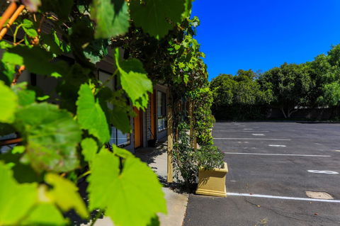 Country Roads Motor Inn Naracoorte - Accommodation Daintree 16