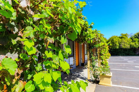 Country Roads Motor Inn Naracoorte - Accommodation Daintree 18