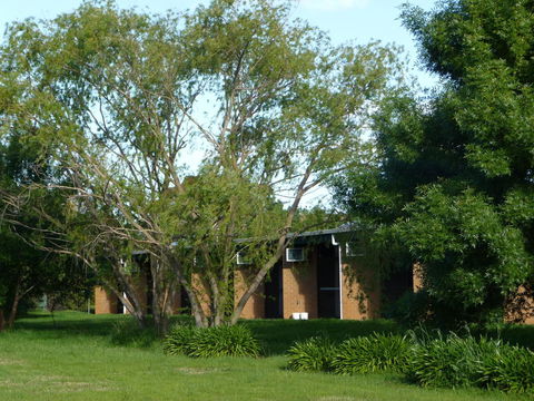 The Wine Vine Hotel - Accommodation Daintree 18