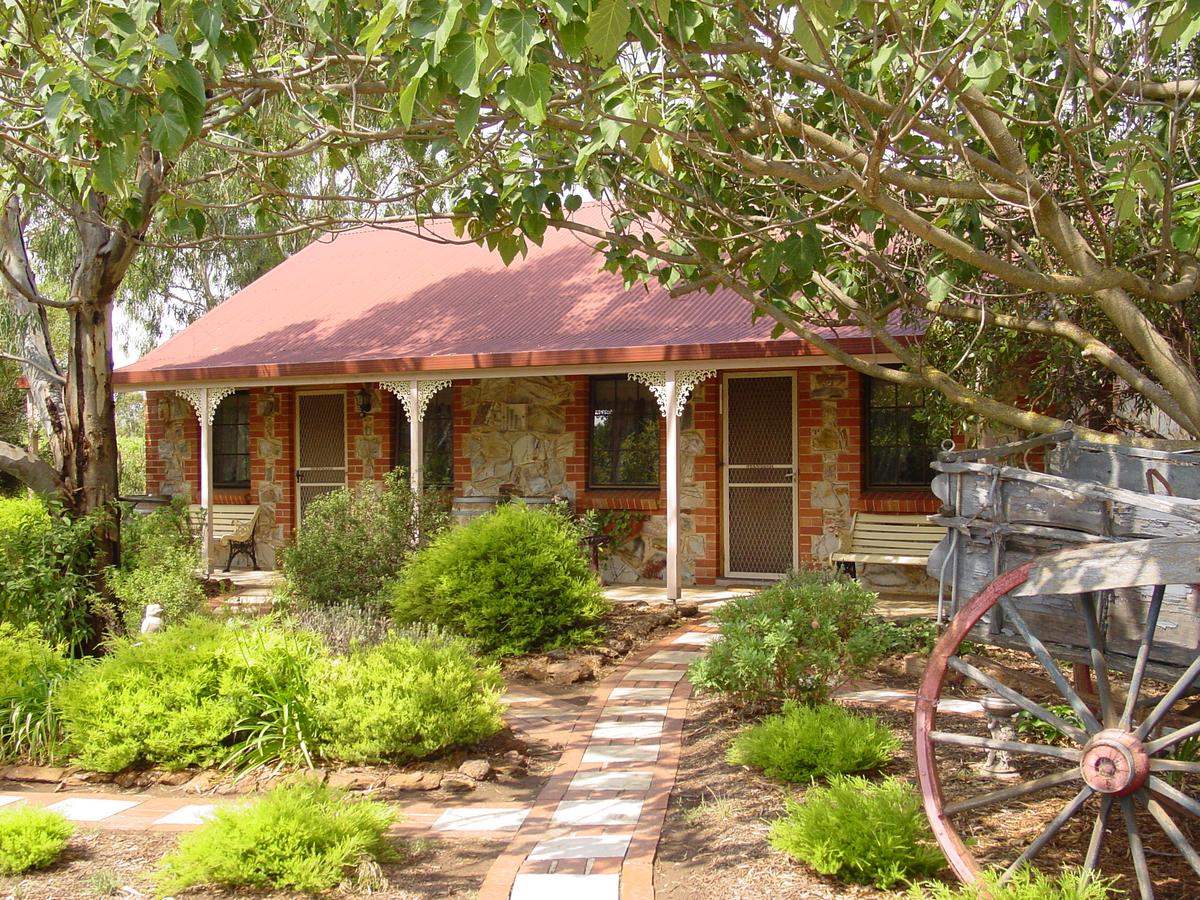 Tanunda SA Accommodation Daintree