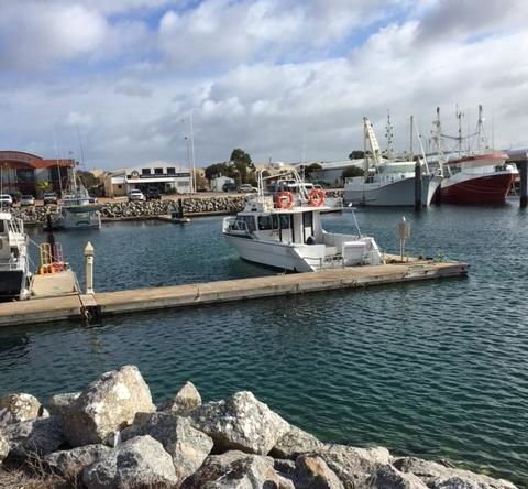 Port Lincoln Shark Apartment 3 - Accommodation Daintree 1