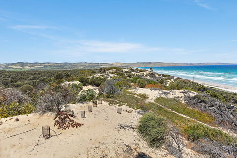 Casa Capri - Aldinga Beach - C21 SouthCoast Holidays - Accommodation Daintree 15