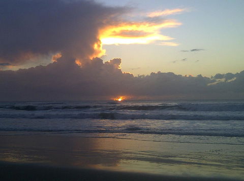Byron Bay Guest - Accommodation Daintree 1