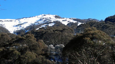CHILL-OUT - Thredbo - Accommodation Daintree 35
