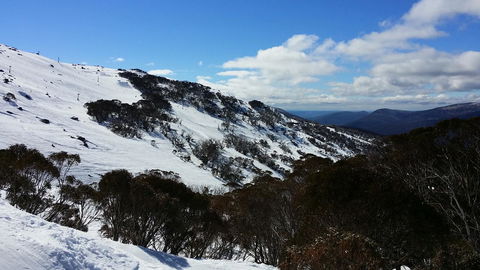 CHILL-OUT - Thredbo - Accommodation Daintree 37
