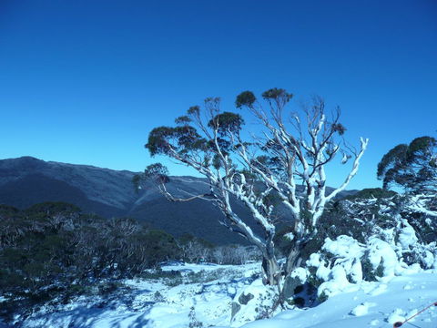 CHILL-OUT - Thredbo - Accommodation Daintree 33