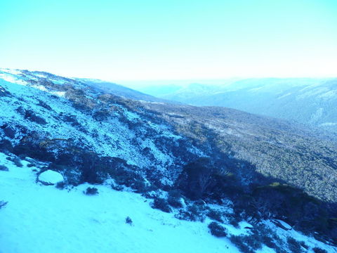 CHILL-OUT - Thredbo - Accommodation Daintree 39