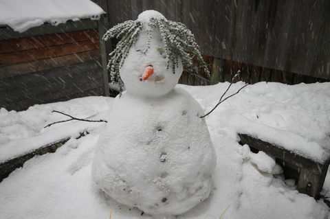 CHILL-OUT - Thredbo - Accommodation Daintree 34