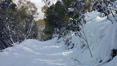CHILL-OUT - Thredbo - Accommodation Daintree 17