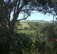 Archery Road Estate - Accommodation Daintree