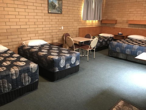 Frewville Motor Inn - Accommodation Daintree 12