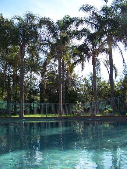 Abcot Inn - Accommodation Daintree 27