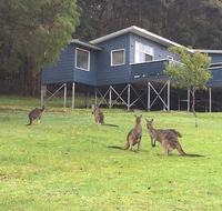 Blue House Denmark - Accommodation Daintree