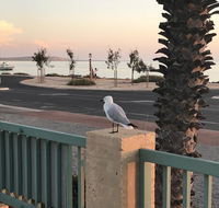 Shark Bay Seafront Apartments - Accommodation Daintree