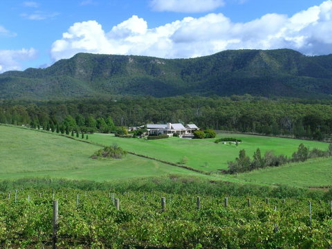 Grapevines Boutique Accommodation - Accommodation Daintree 23