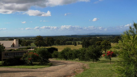 Grapevines Boutique Accommodation - Accommodation Daintree 20