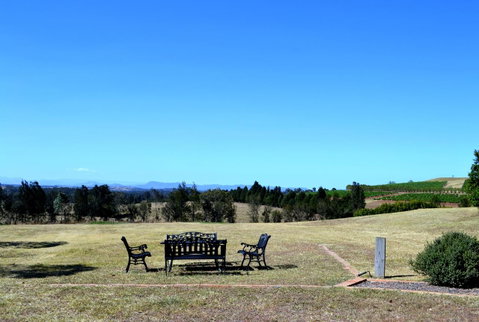 Grapevines Boutique Accommodation - Accommodation Daintree 18