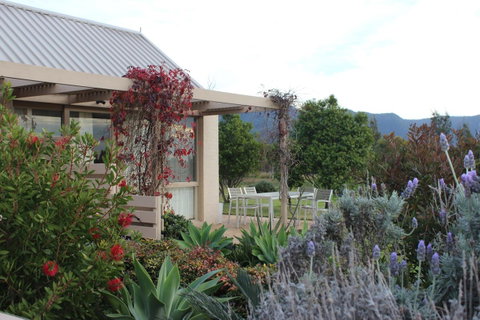 Grapevines Boutique Accommodation - Accommodation Daintree 28
