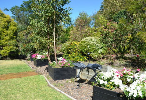 Grapevines Boutique Accommodation - Accommodation Daintree 17