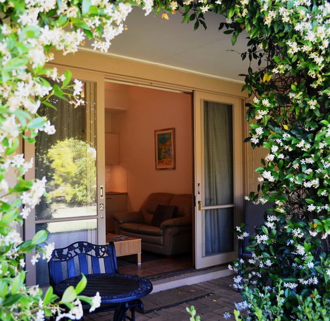 Grapevines Boutique Accommodation - Accommodation Daintree 7