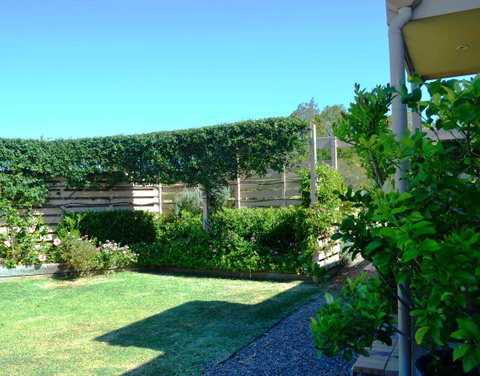 Grapevines Boutique Accommodation - Accommodation Daintree 14