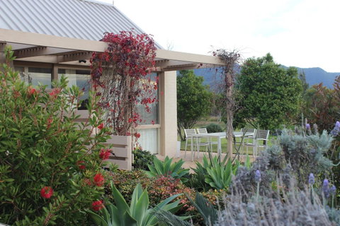 Grapevines Boutique Accommodation - Accommodation Daintree 24