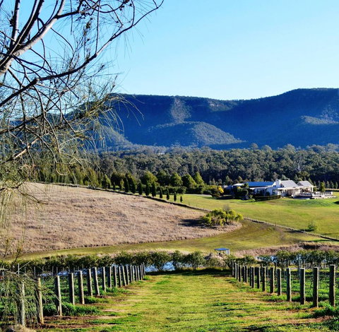 Grapevines Boutique Accommodation - Accommodation Daintree 5