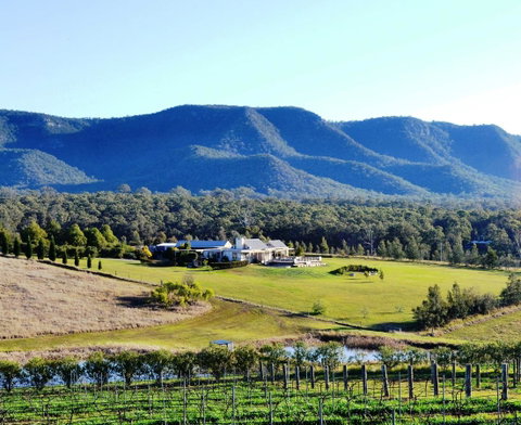 Grapevines Boutique Accommodation - Accommodation Daintree 0