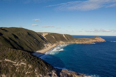 Albany Motel & Apartments - Accommodation Daintree 21