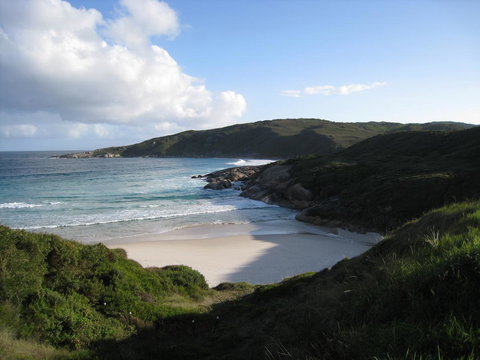 Albany Motel & Apartments - Accommodation Daintree 23