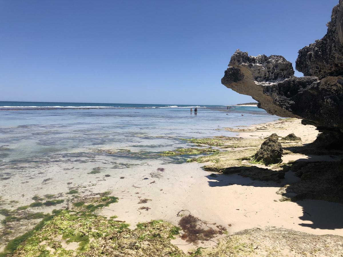 New Norcia WA Accommodation Daintree