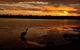 Dungowan Holiday Accommodation - thumb 31