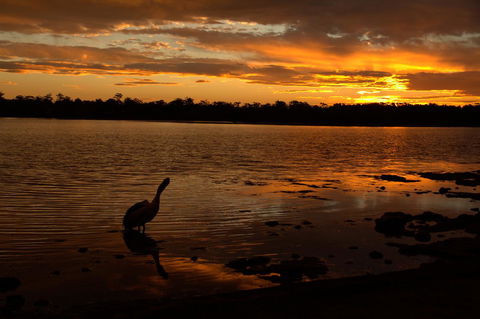 Dungowan Holiday Accommodation - Accommodation Daintree 31