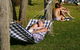Dungowan Holiday Accommodation - thumb 32