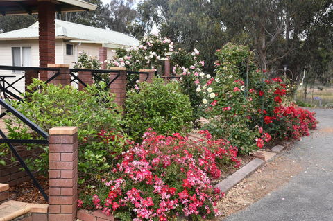 Mount Barker Valley Views Motel & Chalets, Western Australia - Accommodation Daintree 26