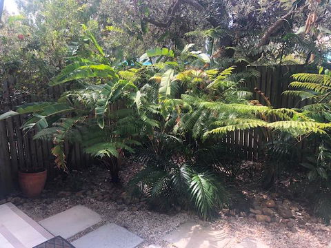 East On Byron - Accommodation Daintree 40