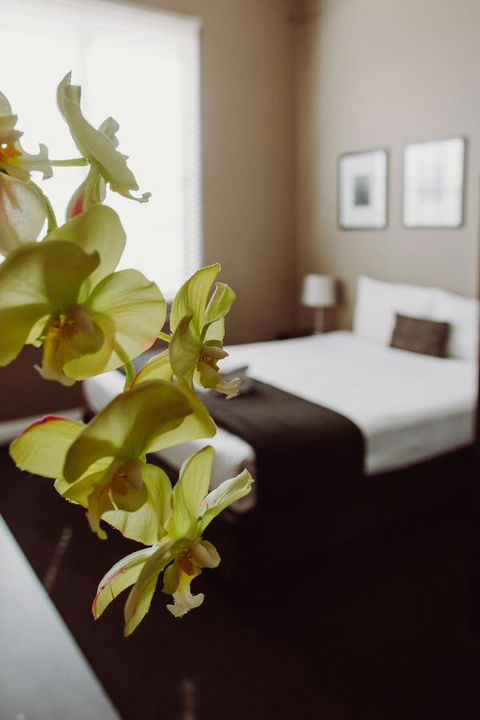Crossroads Hotel - Accommodation Daintree 11