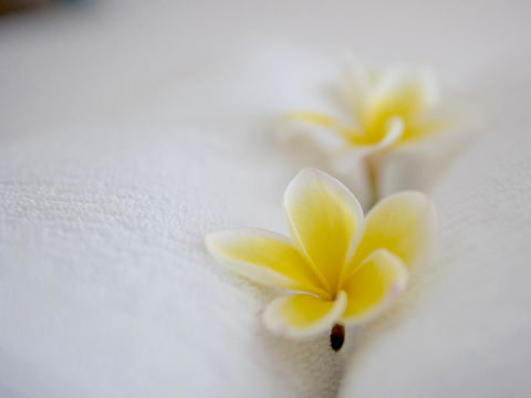 Cossies By The Sea - Accommodation Daintree 16