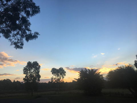 Junee Motor Inn - Accommodation Daintree 26