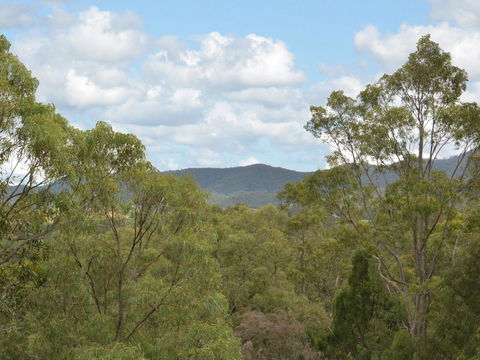 Villa Executive 2br Cypress DS Located Within Cypress Lakes Resort - Accommodation Daintree 8