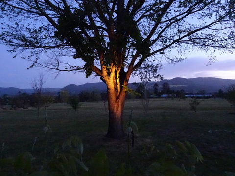 Romanz In The Valley (Luxury B&B) - Accommodation Daintree 36