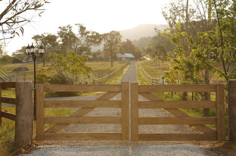 Romanz In The Valley (Luxury B&B) - Accommodation Daintree 35