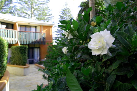 The Crest Byron Bay - Accommodation Daintree 29