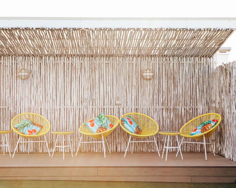 Wake Up! Bondi Beach - Accommodation Daintree 25