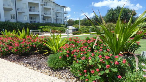 SaltBeach2302 - Accommodation Daintree 1