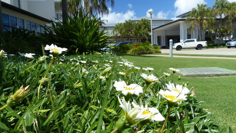 SaltBeach2302 - Accommodation Daintree 12